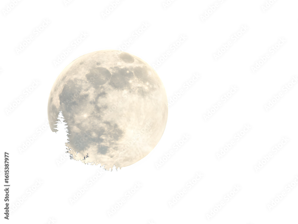 Naklejka premium Full moon silhouetted against a dark night sky