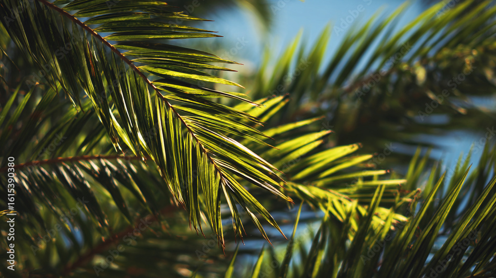 Fototapeta premium Close up of bright green palm fronds against a blurred sky background outdoors
