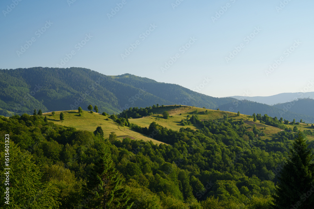 Fototapeta premium Carpathian hills at dawn in summer. Nature, tourism, eco, Carpathians, summer, rural landscape, clean air, landscape design.