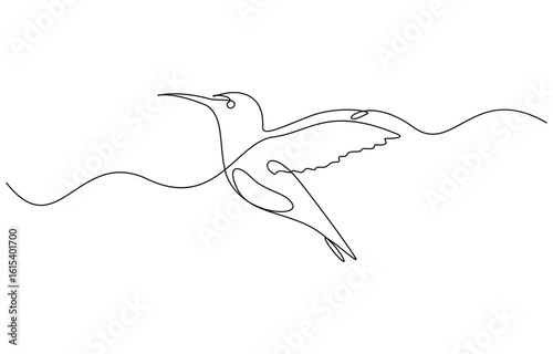Continuous one line drawing of Humming bird vector illustration. Editable outline
