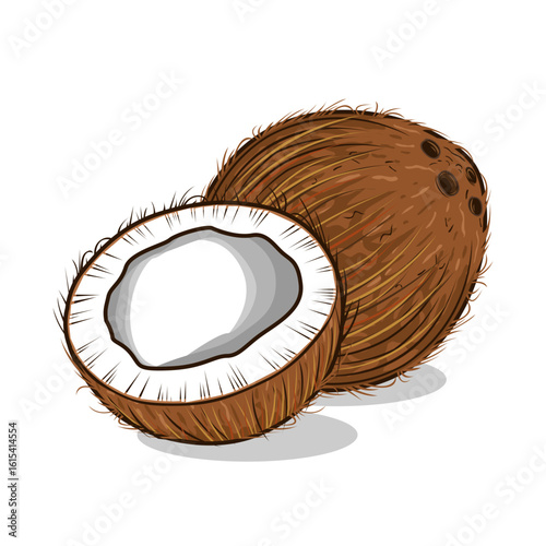 Tropical fruit coconuts vector illustration isolated on transparent background.