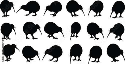 Kiwi bird silhouette set, black vector illustration, flightless bird animal icons, native New Zealand wildlife, bird shapes collection, nature design element, exotic fauna graphics