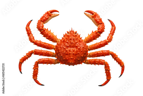 Photos Bright red crab icon isolated on white background, playful marine creature illus
