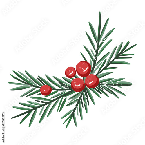 Pine branch with berries. Hand drawn winter botanical element for holiday and seasonal design
