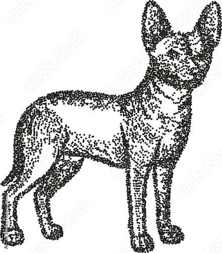Pointillism illustration of hairless cat with erect ears artistic dotted feline pet drawing, stylized animal art