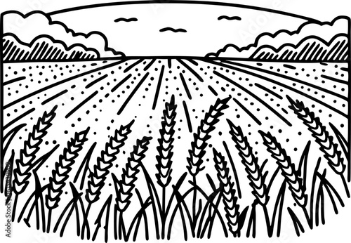 Wheat field landscape with sky and clouds ripe grain, rural agricultural scene, harvest season, farmland illustration