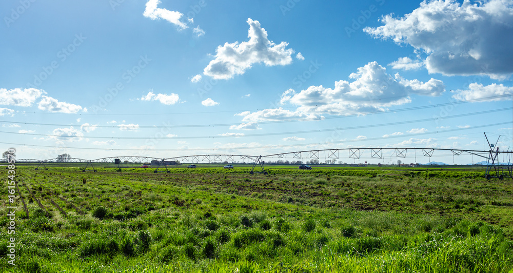 Obraz premium Expansive green agricultural field under a bright blue sky with fluffy clouds, featuring irrigation equipment in the distance, showcasing the beauty of rural farming landscapes