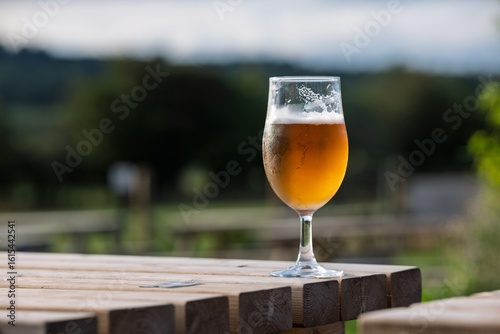glass of cold lager in the sun