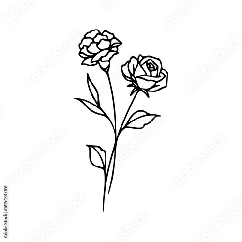 beautiful blossom flower illustration