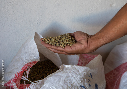 Yemeni coffee beans in the hand of a seller, Najran Province, Najran, Saudi Arabia