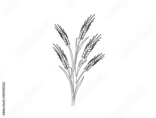 Barley or Rye in single line draw illustration. Continuous one line drawing of wheat product.