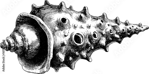 Vintage engraving of barnacle covered bell with intricate details for nautical design