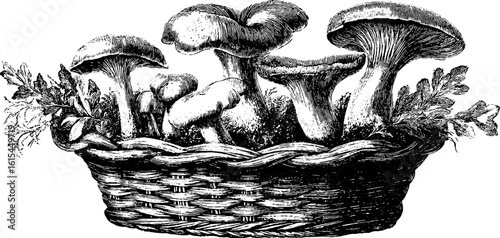 Engraved basket of wild forest mushrooms - retro design for cards and posters