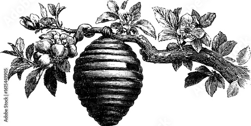 Vintage illustration of beehive hanging from branch with blossoms for retro decor