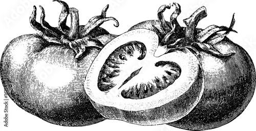 Vintage engraved illustration of ripe tomato with sliced detail for culinary design