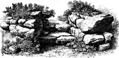 Vintage engraved illustration of stone path with moss and plants - retro design for nature-themed decor