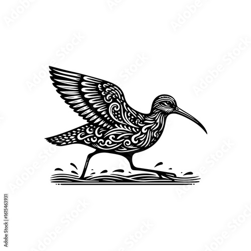 A shorebird with ornate feather details walking in water