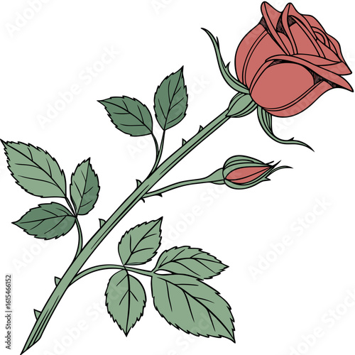 A beautifully rendered illustration of a red rose with a bud and green leaves on a white background