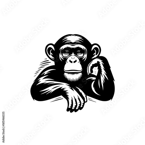 Chimpanzee resting its head on its arm isolated on white background