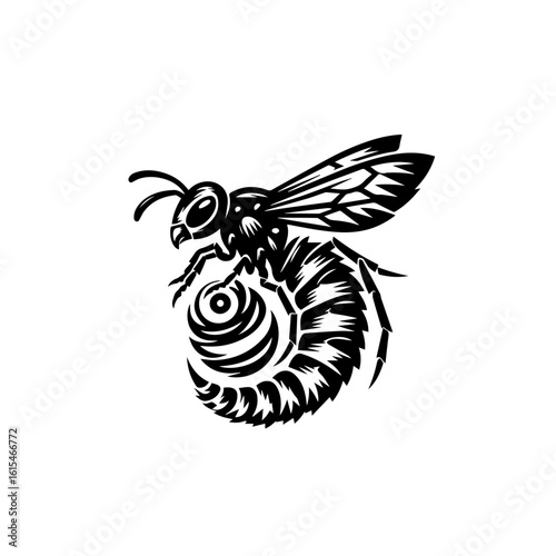 Detailed wasp illustration isolated on white background