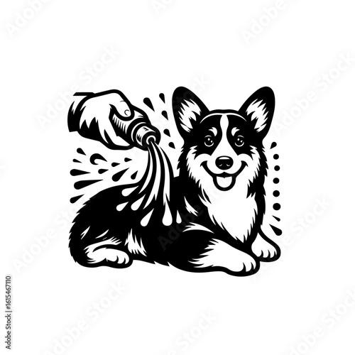 Corgi dog getting washed illustration isolated on white background