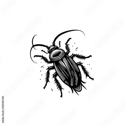 A detailed illustration of a cockroach