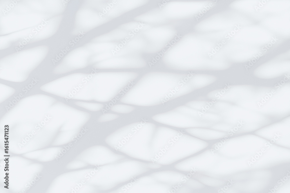 Obraz premium Soft natural shadows of leaves and branches falling on a white wall