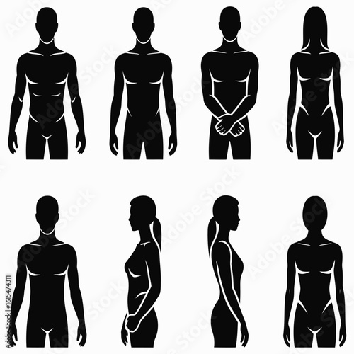 A collection of human body silhouettes, featuring male and female figures in various poses. Vector icons of people for anatomy or graphic design.