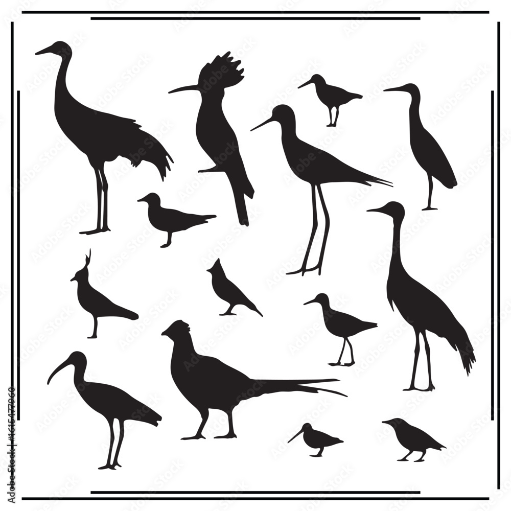 Obraz premium Set of 12 Bird Silhouettes: Crane, Heron, Flamingo, Wading Birds, Shorebirds, and Other Avian Designs for Wildlife, Nature, and Ornithology Illustration Projects