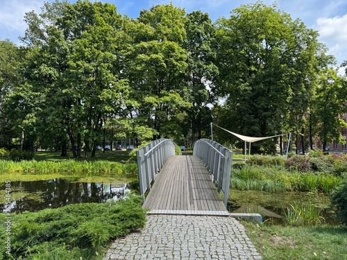 Fototapeta Naklejka Na Ścianę i Meble -  bridge in the park