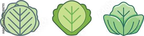 Green salad vector set. collection of green salad
