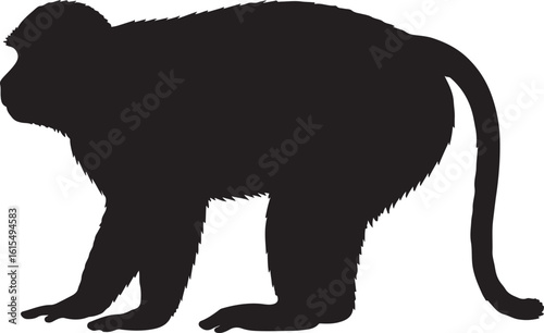 Patas Monkey in silhouette image white background.