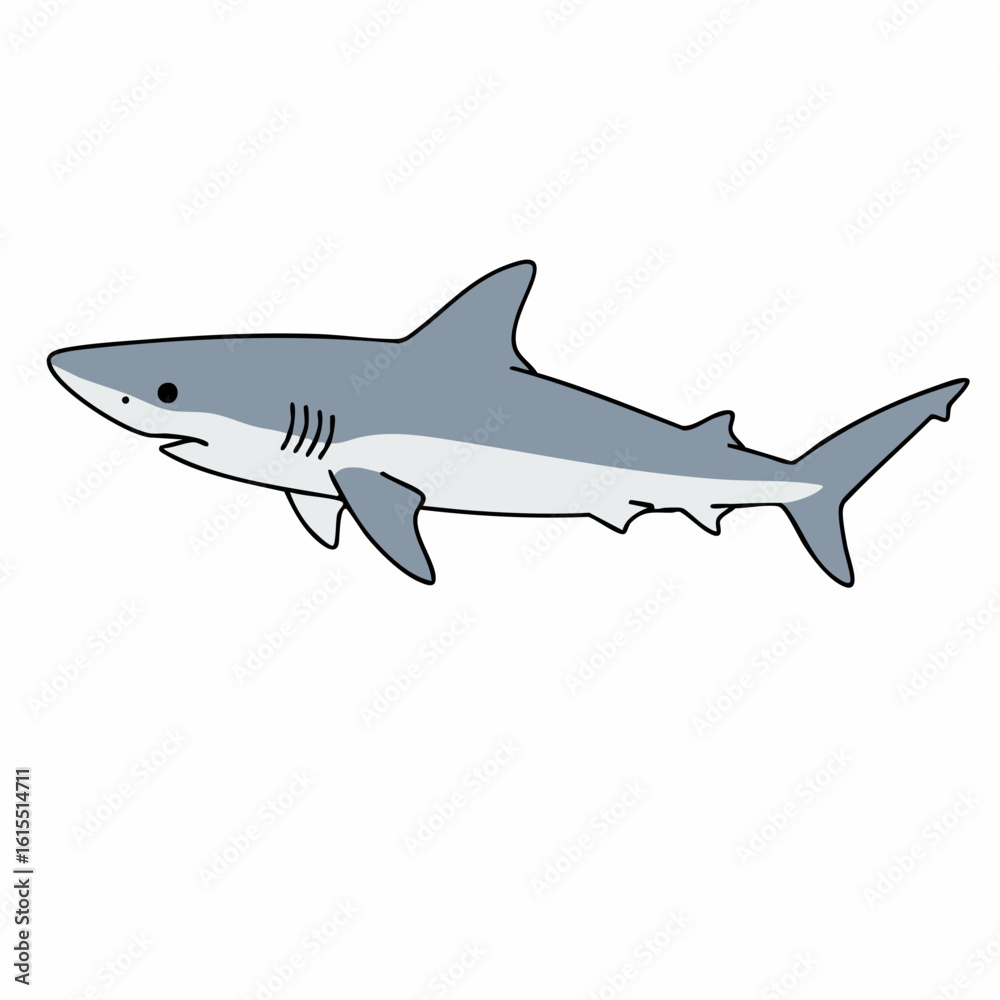 Fototapeta premium Simple Illustration of a Gray Shark in Profile View
