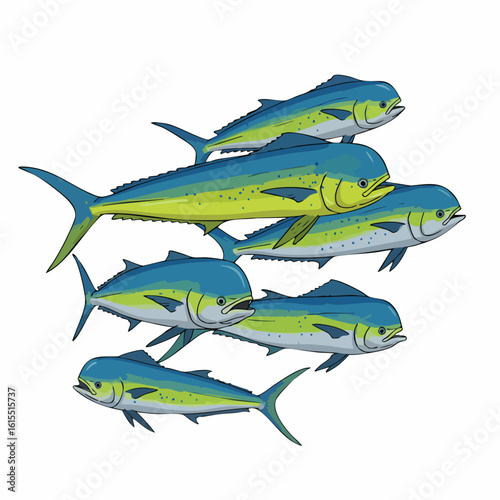 School of vibrant blue and yellow Mahi-Mahi fish swimming together