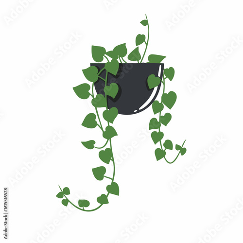 Potted Heartleaf Philodendron with Trailing Vines in a Dark Hanging Planter