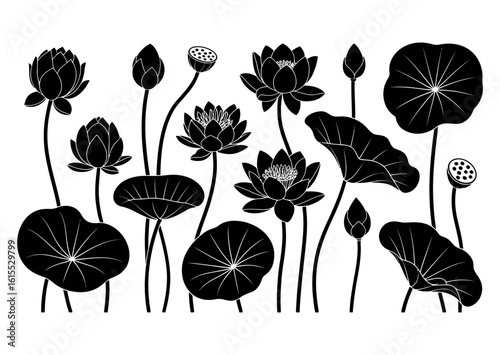 Set of Silhouette Vector Black of lotus flowers. with white background