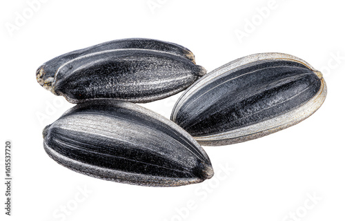 Wallpaper Mural Three sunflower seeds, close-up Torontodigital.ca