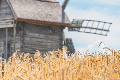 Tranquil countryside scene with a wooden windmill in front of a rustic barn amidst maturing yellow wheat fields Soft, overcast lighting suggests early morning or gloomy day No people or animals pre