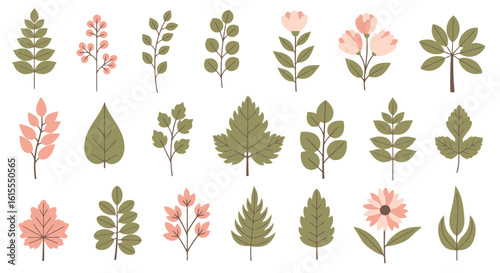 Flat Botanical & Floral Collection