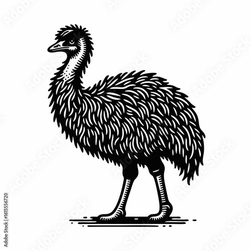 Emu hand draw engrave icon design black white