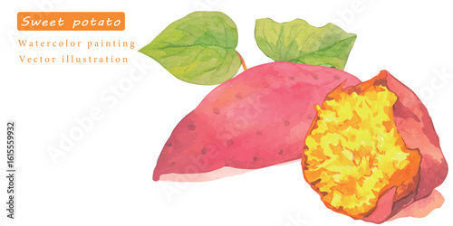 水彩で描いたサツマイモと葉っぱのベクターイラスト素材セット