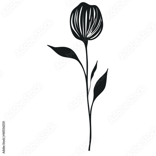Wallpaper Mural Elegant vector illustration of a stylized black flower with linear textured petals and simple leaves, isolated on white background. Torontodigital.ca