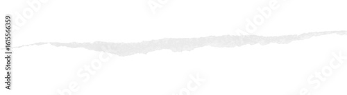 torn paper edges isolated on transparent background.