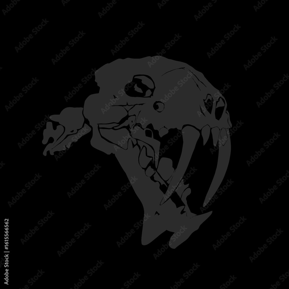 Obraz premium tiger head skull skeleton without background