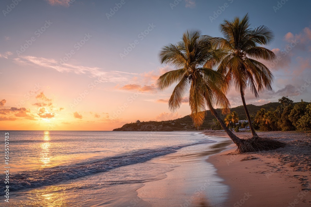 Fototapeta premium Antigua beach sunset with palm trees in the Caribbean