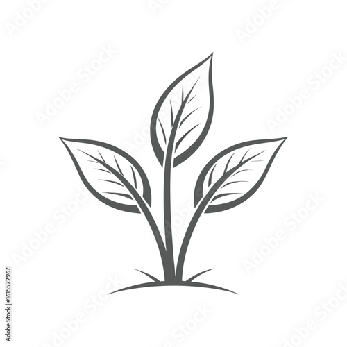 Simple dark grey plant sprout with three leaves on white background seedling growth