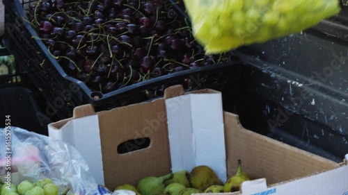 Wallpaper Mural Close-up of a hand putting green grapes into a transparent yellow plastic bag. In the background are boxes with cherries, pears, and zucchini. Daylight, fresh produce scene Torontodigital.ca