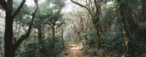 壮大な自然が持つ威厳を感じさせる背景