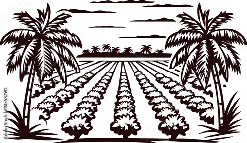 Monochrome illustration of tropical plantation landscape with palm trees and cultivated field rows under cloudy sky
