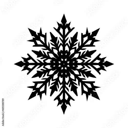 snowflake with intricate details vector art